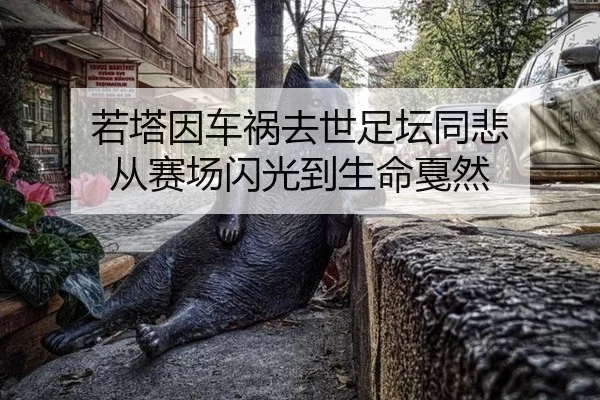 ruo-ta-yin-che-huo-qu-shi-zu-tan-tong-bei-cong-sai-chang-shan-guang-dao-sheng-ming-jia-ran-2-439.jpg